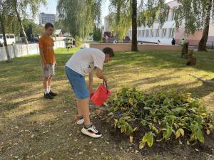 изображение viber 2024-08-21 16-40-25-251