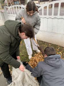изображение viber 2024-11-18 14-21-56-601