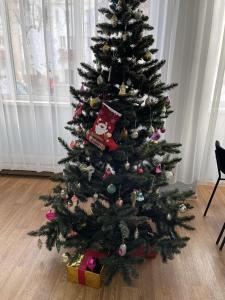 изображение viber 2024-12-31 17-59-36-425