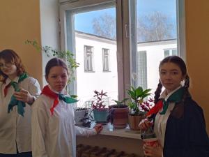 изображение viber 2025-04-12 17-32-20-071