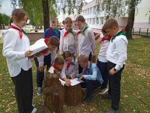 изображение viber 2025-09-12 13-34-48-765