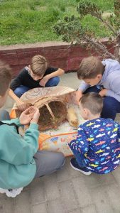 изображение viber 2025-09-13 15-30-58-713