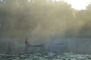 изображение viber 2025-09-14 10-13-43-990