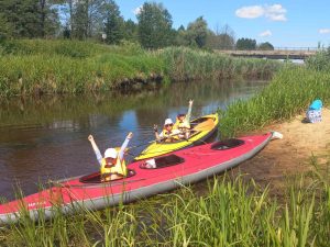 изображение viber 2025-09-23 19-38-30-568