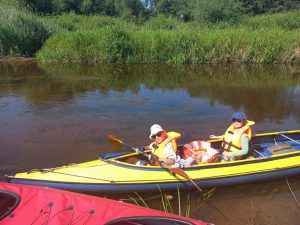 изображение viber 2025-09-23 19-38-30-851