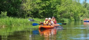 изображение viber 2025-09-24 06-43-44-263