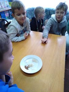 изображение viber 2025-10-11 13-17-02-045