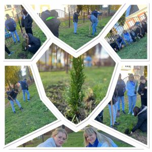 изображение viber 2025-10-11 16-05-12-117