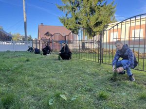 изображение viber 2025-10-11 17-38-32-431