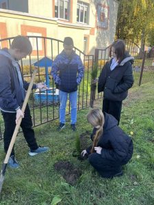 изображение viber 2025-10-11 17-38-42-290