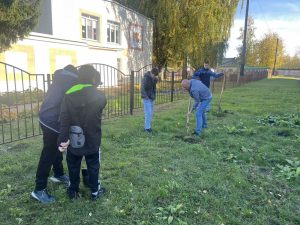 изображение viber 2025-10-11 17-39-43-672