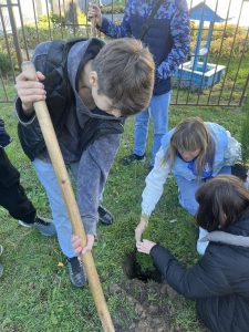 изображение viber 2025-10-11 17-39-57-632