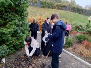 изображение viber 2025-10-25 14-18-09-034