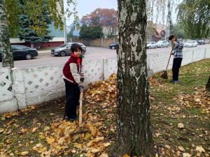 изображение viber 2025-10-25 14-18-28-529