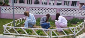изображение viber 2026-06-16 15-24-11-032