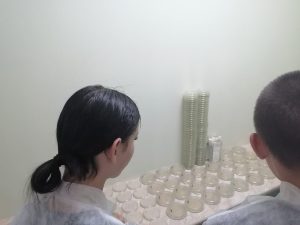 изображение viber 2026-07-23 16-49-35-579