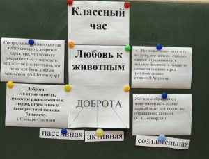 изображение viber 2026-10-01 19-27-05-250